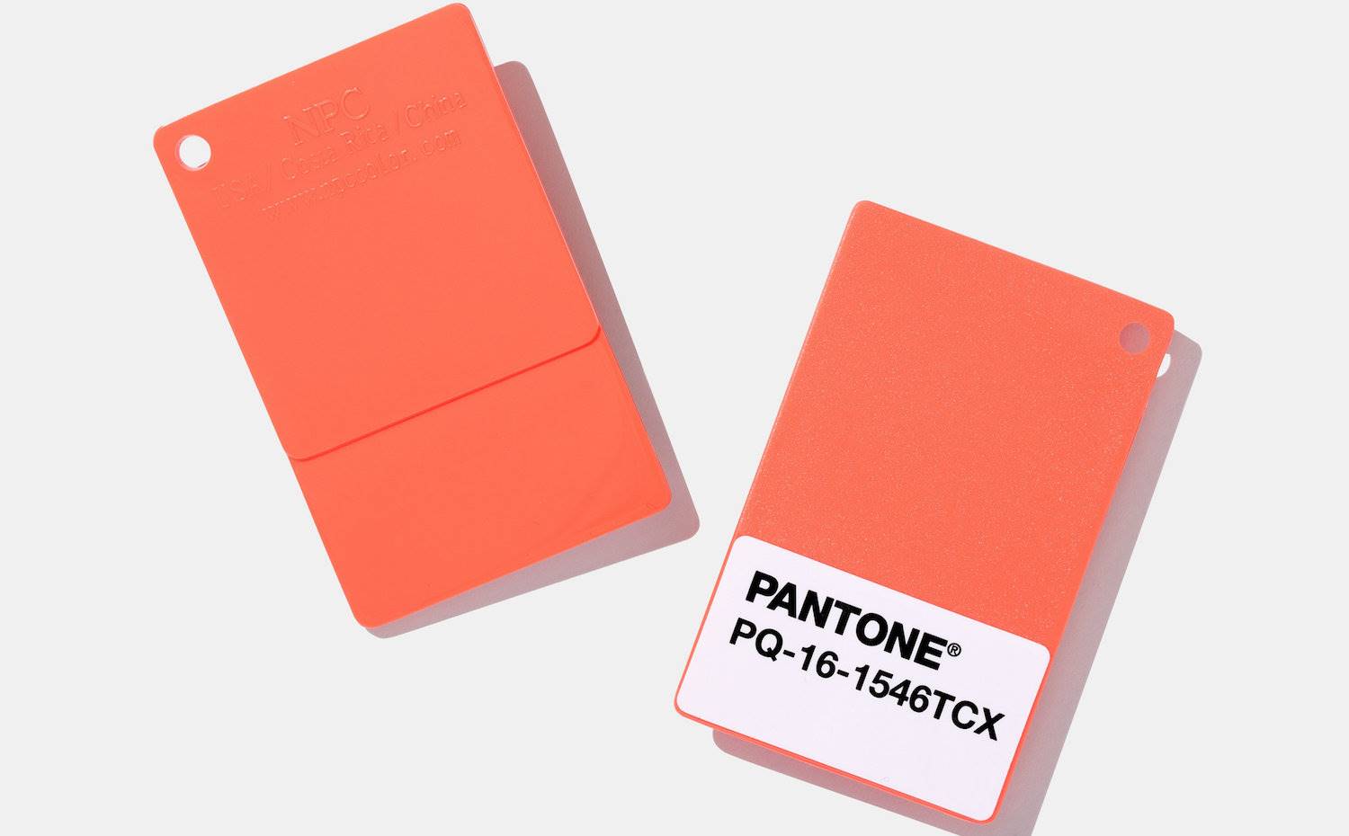 Living coral el color de 2019 según Pantone